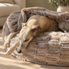Dogco Nest Soft Cappuccino