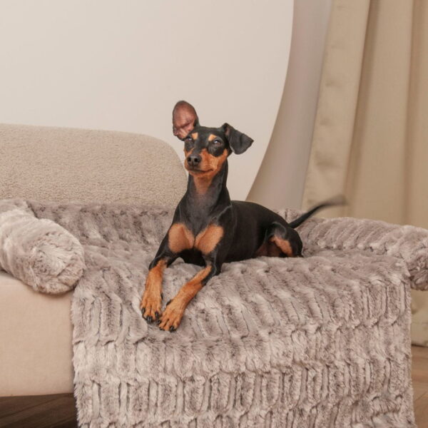 Sofa Mat | Dog Bed Cover for Sofa & Bed