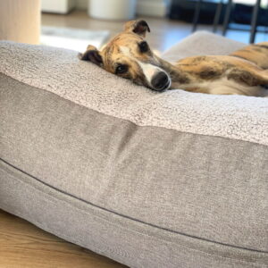 Beddy-bye Dog Bed – Teddy Szary