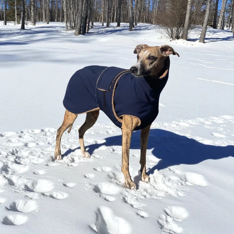 Winter Raincoat for Sighthounds – Softshell with Fleece | Navy & Camel - Image 3