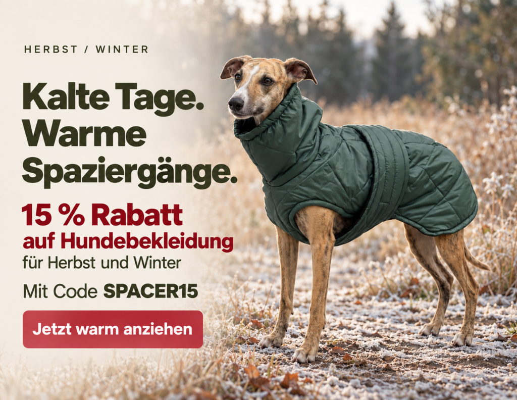 Windhund im grünen Wintermantel – 15% Rabatt auf Hundebekleidung mit Code SPACER15