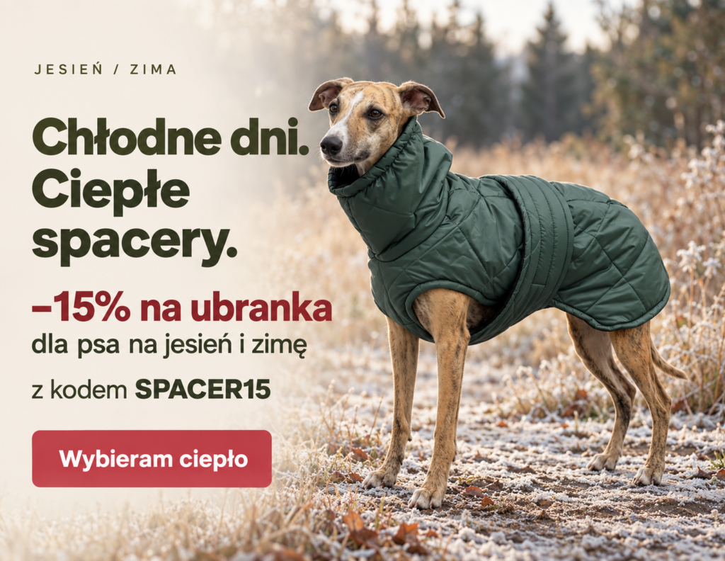 Chart w zielonej kurtce zimowej – -15% na ubranka dla psa z kodem SPACER15