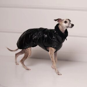 Sighthound Down Jacket – Deluxe Black