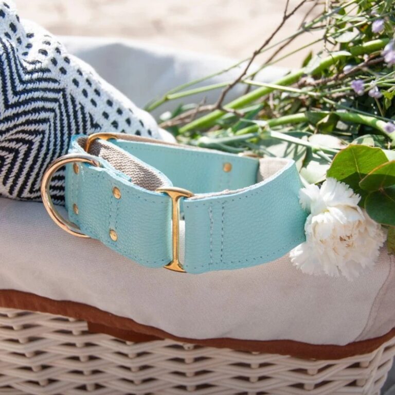 Sighthound Martingale Collar – Mint