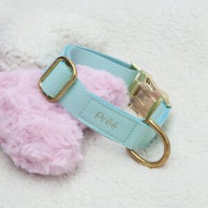 Leather Collar – Mint (Large Dog)