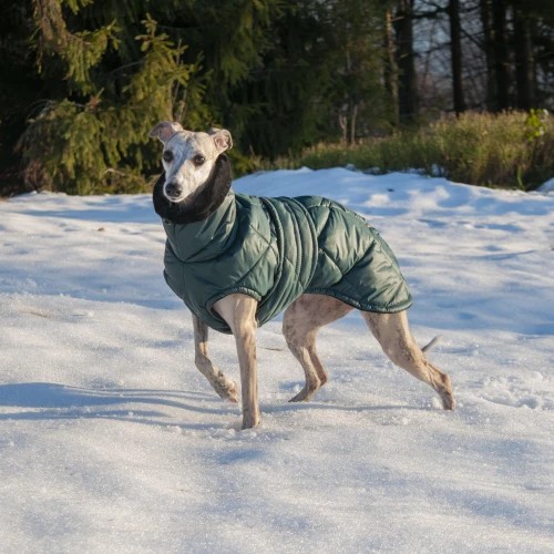 Sighthound Down Jacket – Matte Green