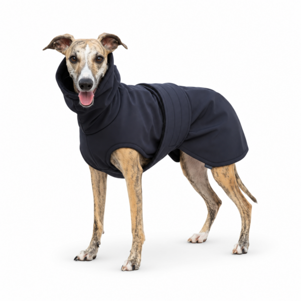 Sighthound Raincoat – Black