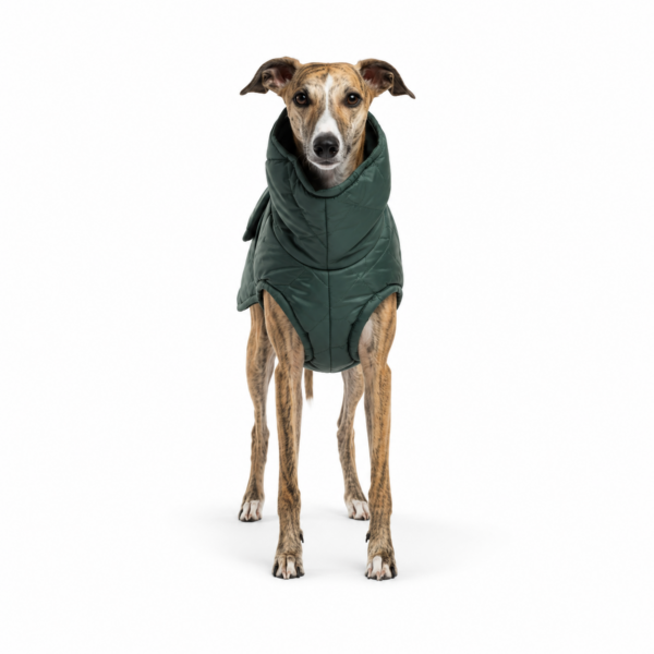 Sighthound Down Jacket – Matte Green
