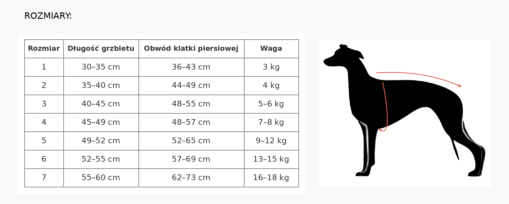 Tabela rozmiarów ubranka dla charta