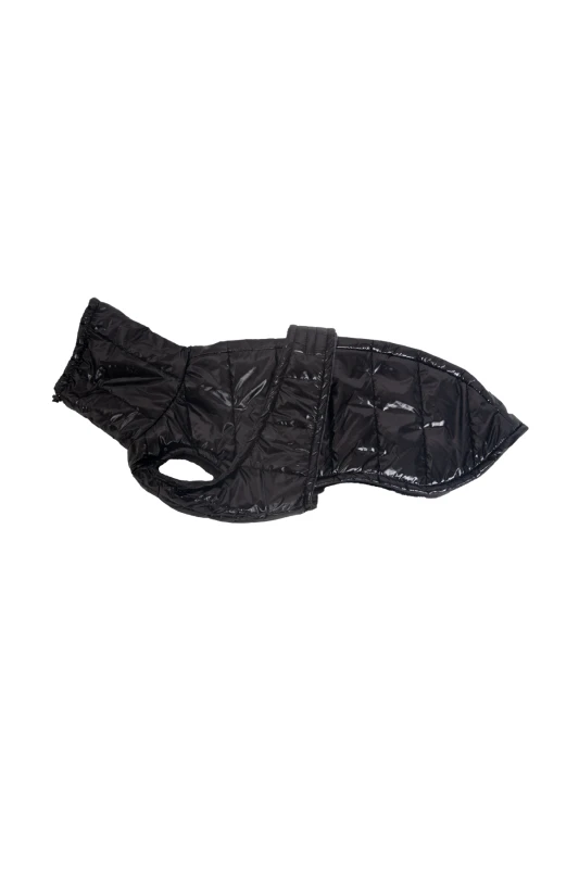 Quilted Winter Jacket for Sighthounds – Padded | Deluxe Black - Image 4