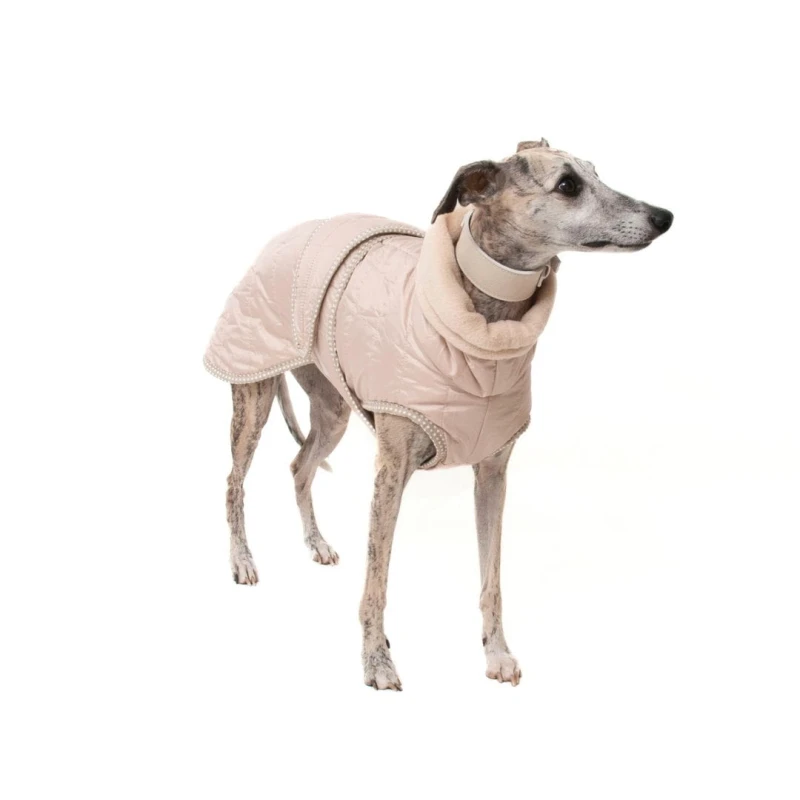 Quilted Winter Jacket for Sighthounds – Padded | Sweet Beige - Image 3