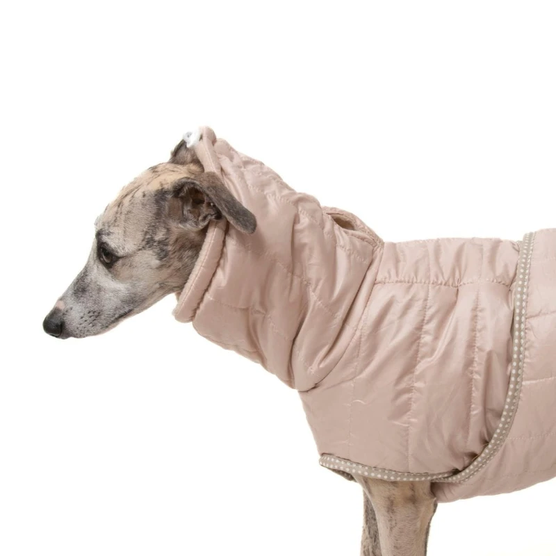Quilted Winter Jacket for Sighthounds – Padded | Sweet Beige - Image 4