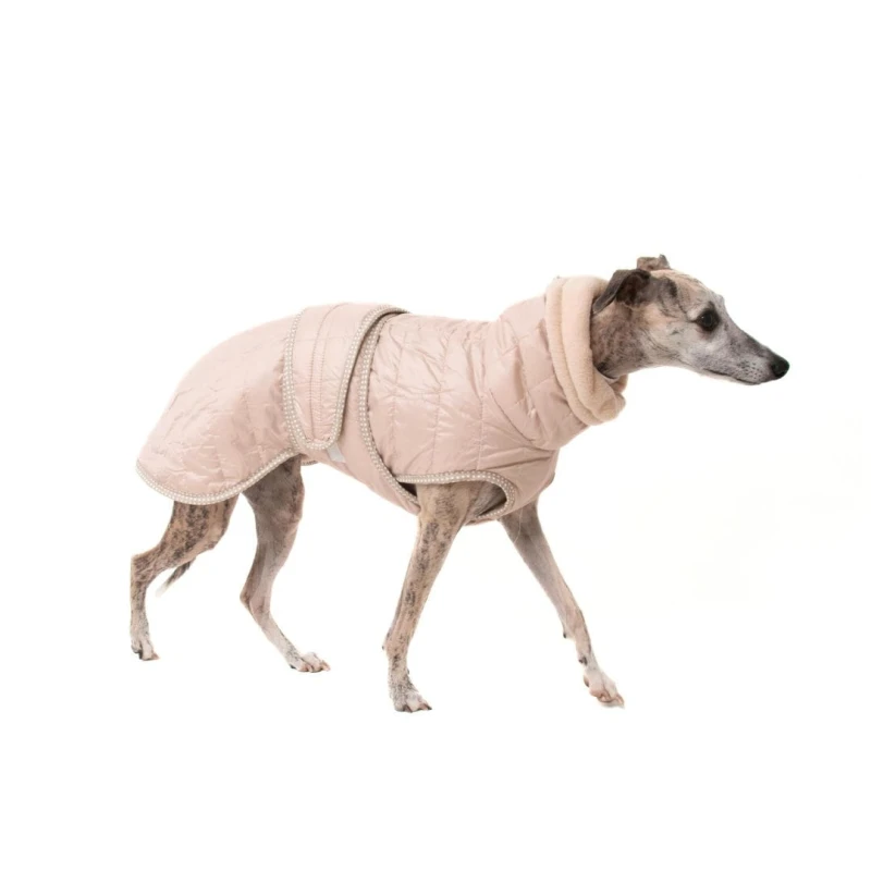 Quilted Winter Jacket for Sighthounds – Padded | Sweet Beige - Image 2