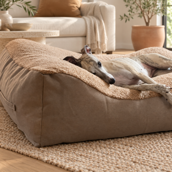 Beddy-bye Dog Bed – Bouclé Toffi