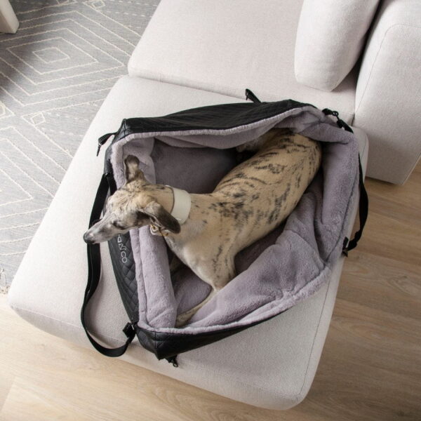 TravelNest 2-in-1 – Black | Dog Travel Bed