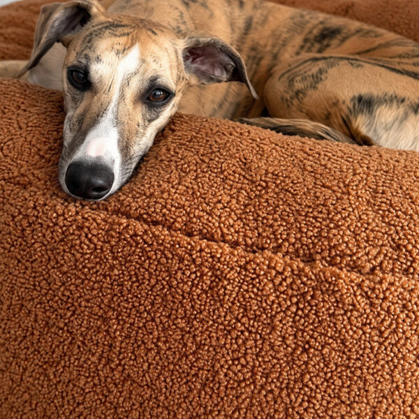 Dogco Pouf – Boucle Toffi | Round Dog Pouf Bed