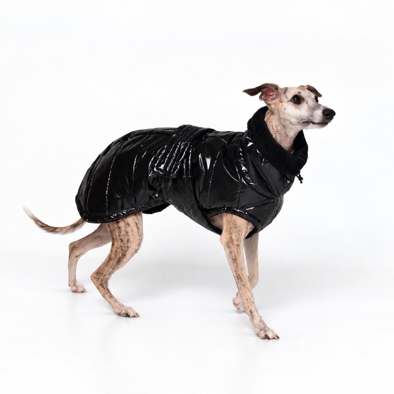 Quilted Winter Jacket for Sighthounds – Padded | Deluxe Black