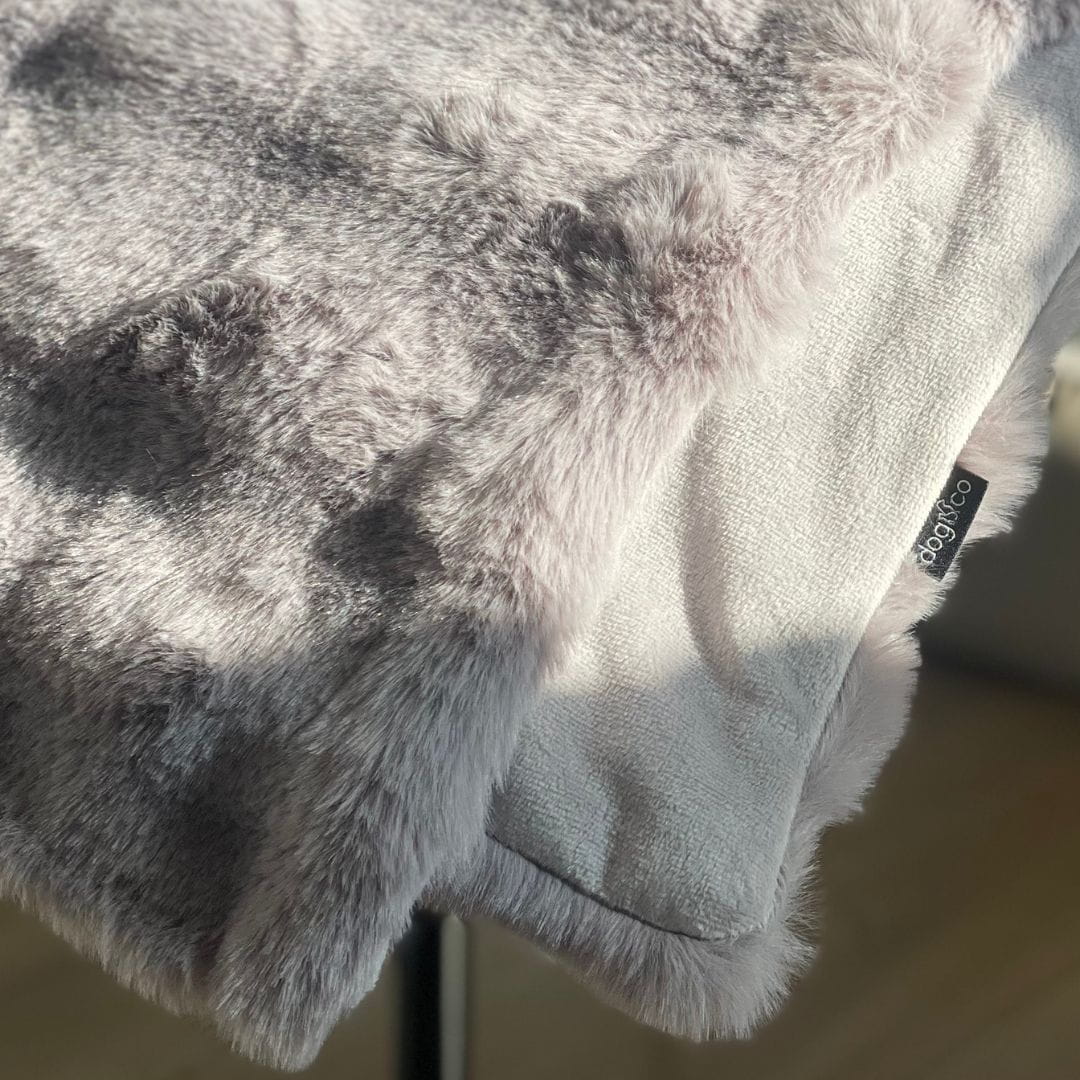 Dogco Blanket Bubble Bunny Grey