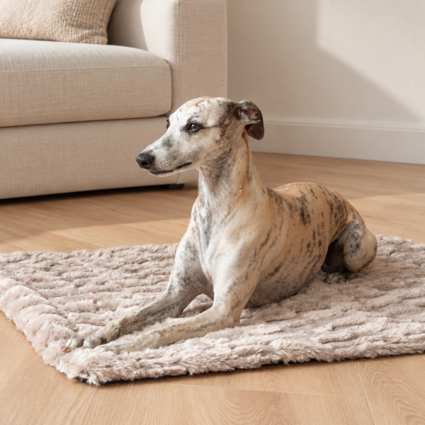 Dogco Travel Mat – Cappuccino