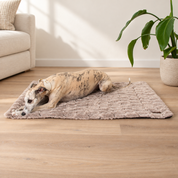 Dogco Travel Mat – Cappuccino