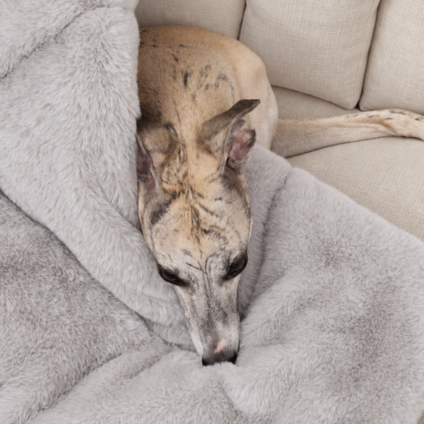Dogco Travel Mat – Grey Fur