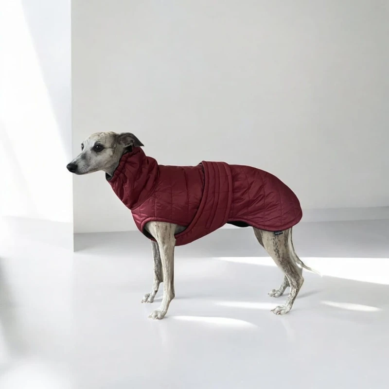 Quilted Winter Jacket for Sighthounds – Padded | Bordeaux - Image 3