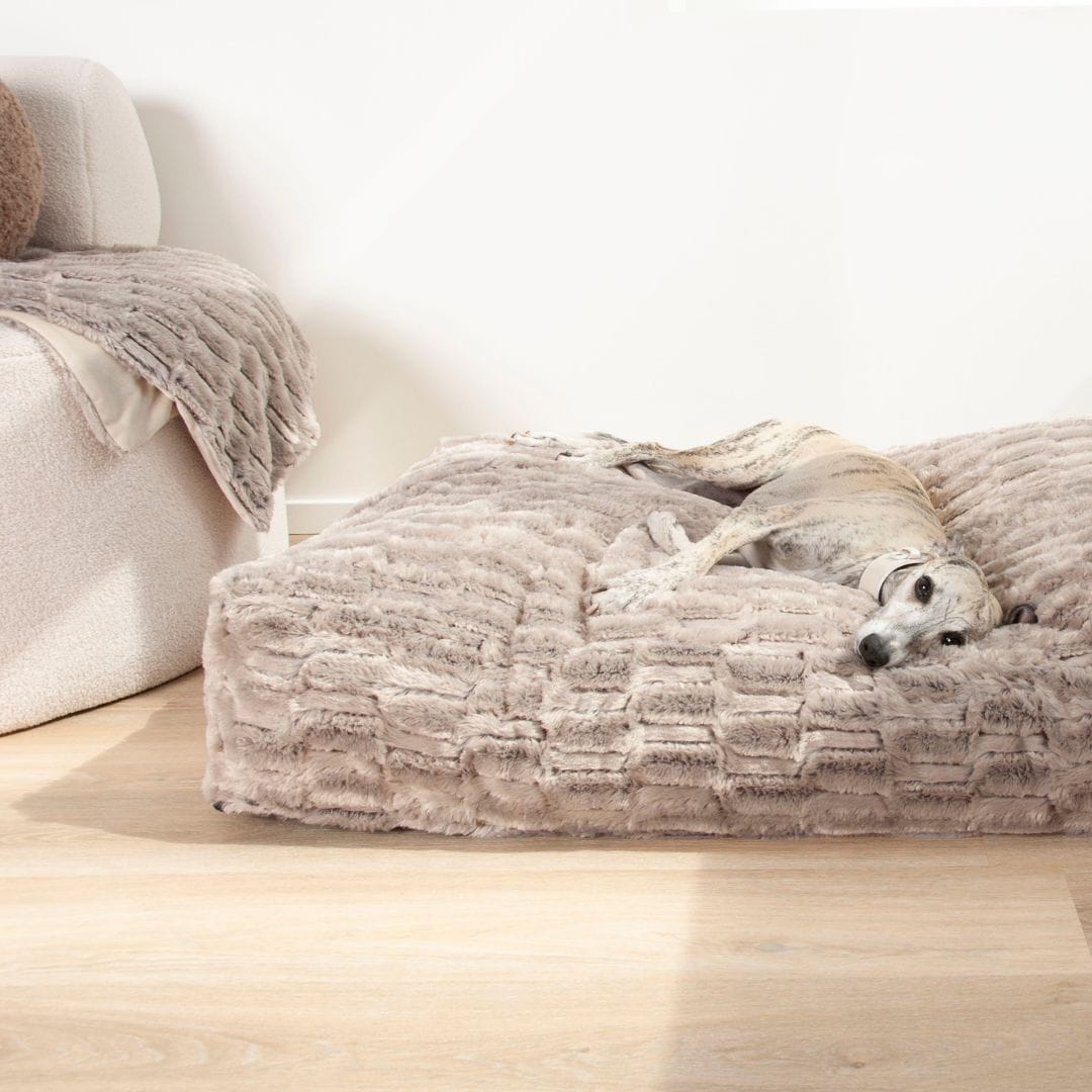 Dogco Lounger – Cappuccino | Rectangular Dog Bed