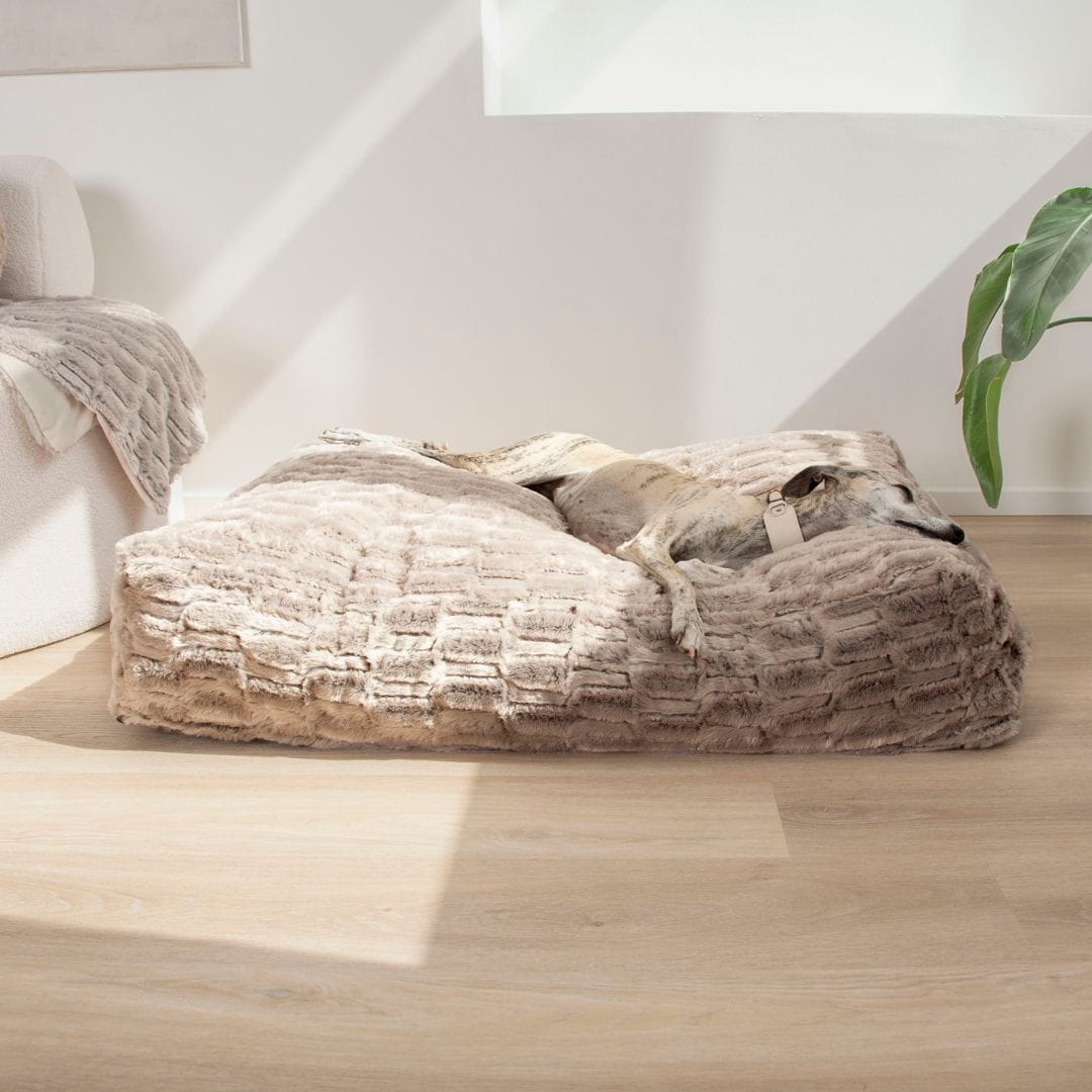 Dogco Lounger – Cappuccino | Rectangular Dog Bed - Image 2