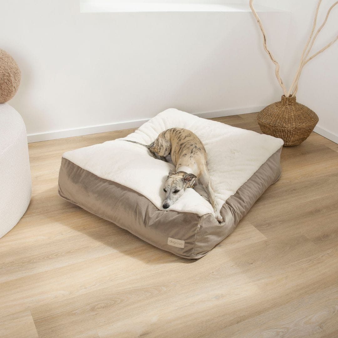 Dogco Lounger – Walnut Cream | Rectangular Dog Bed - Image 2