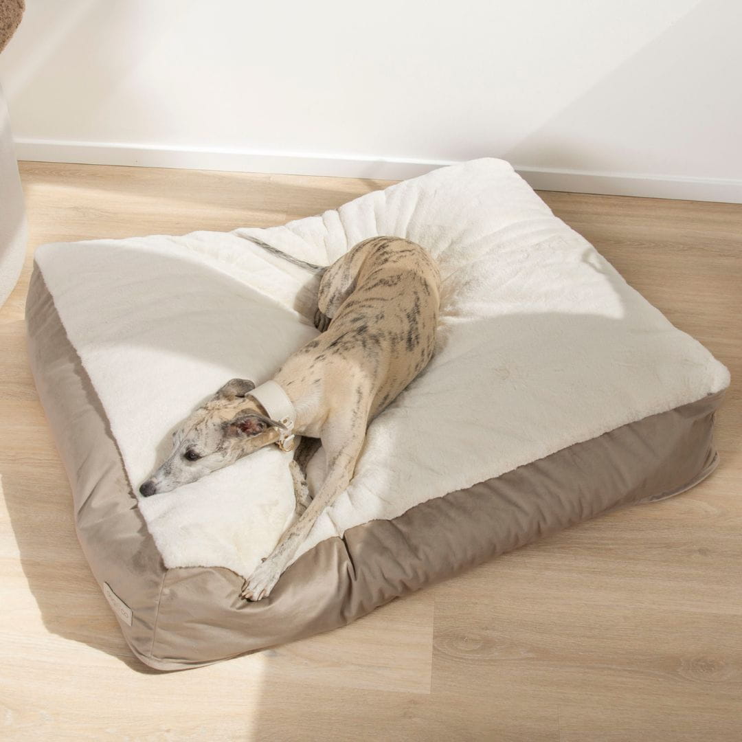 Dogco Lounger – Walnut Cream | Rectangular Dog Bed - Image 3
