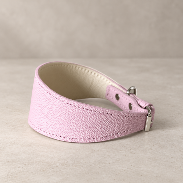Sighthound Leather Collar – Powder Pink