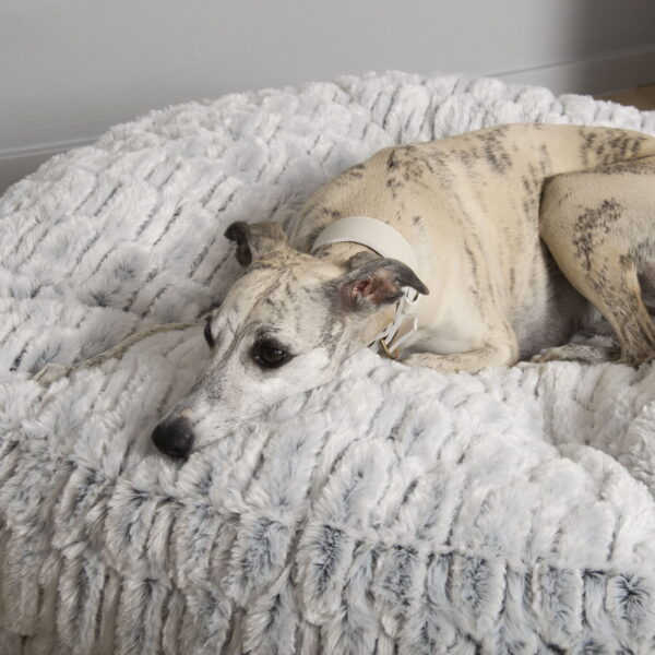 Dogco Pouf – Silver Bunny | Round Dog Pouf Bed
